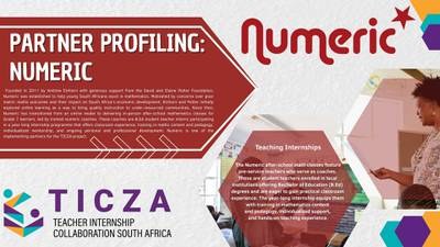 Partner Profiling: Numeric