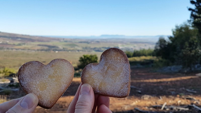 7 Reasons to Love Plone