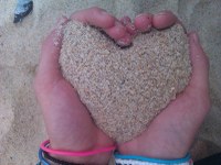 Reminder of why we love Plone