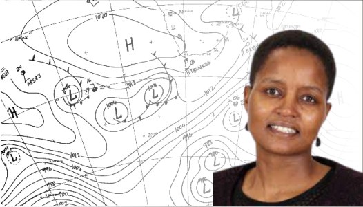 Dr Mary-Jane Bopape: a 'Changemaker'  %